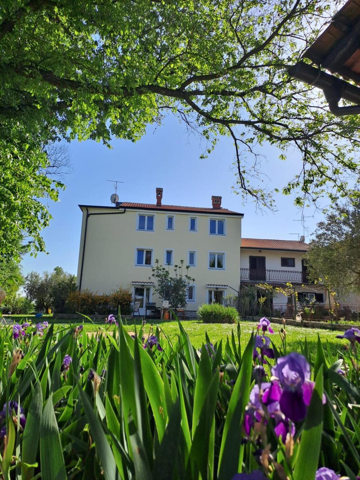 Apartments Marija Murine Екстер'єр фото